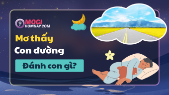Nằm mơ thấy con đường đánh số mấy? - Mơ thấy đường là điềm báo gì? Nằm mơ thấy con đường đánh số mấy? - Mơ thấy đường là điềm báo gì?