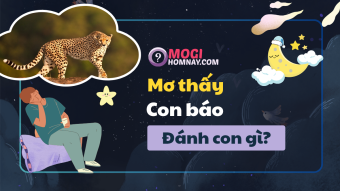 Nằm mơ thấy con báo đánh con gì? - Mơ con báo là điềm gì? Nằm mơ thấy con báo đánh con gì? - Mơ con báo là điềm gì?