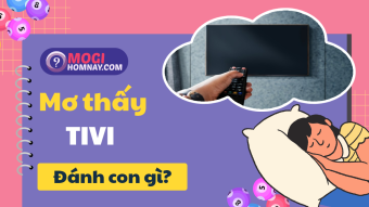 Nằm mơ thấy tivi đánh con gì? - Mơ thấy tivi là điềm báo gì? Nằm mơ thấy tivi đánh con gì? - Mơ thấy tivi là điềm báo gì?
