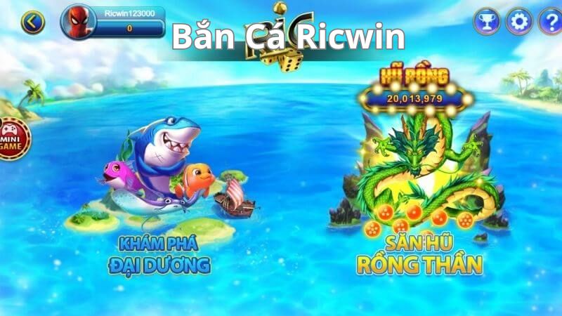 Hướng dẫn chơi Bắn Cá Ricwin Hướng dẫn chơi Bắn Cá Ricwin