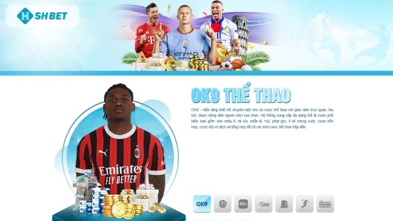 Sự Uy Tín Của Thể Thao Shbet Sự Uy Tín Của Thể Thao Shbet