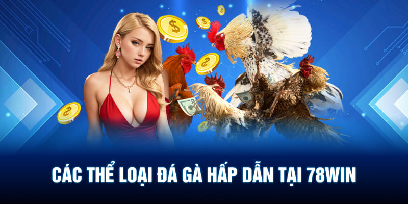 Các thể loại đá gà hấp dẫn tại 78WIN