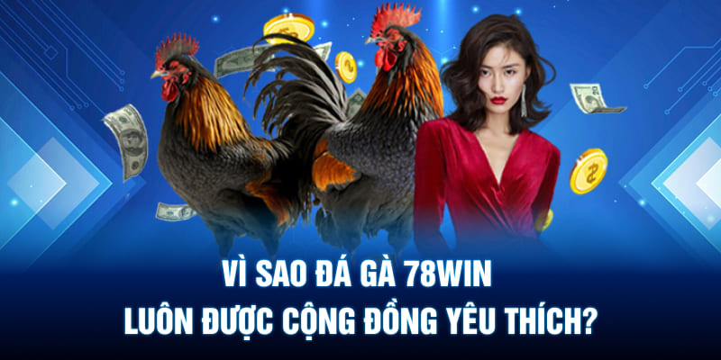 Lý do đá gà 78WIN được yêu thích hàng đầu