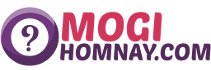 mogihomnay.com